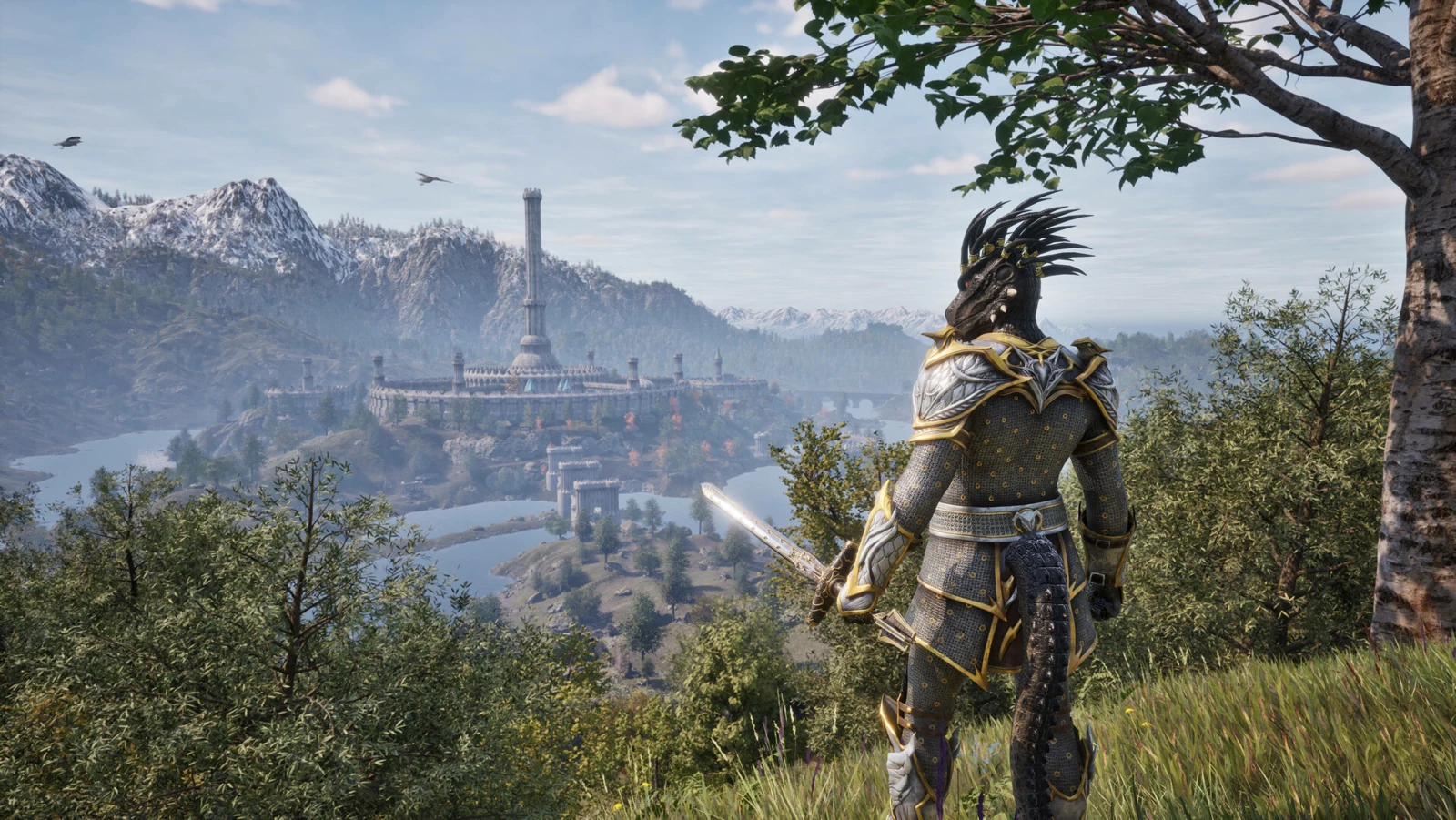 A character overlooking the landscape in Oblivion Remastered